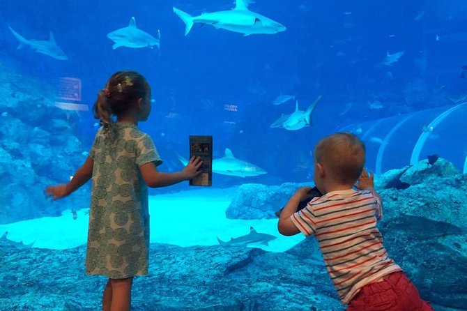Singapore Universal Studio & S.E.A Aquarium-COMBO One-Day Pass(Shared transfer) - Starting smart: 8:30am pickup and the 11am park reality