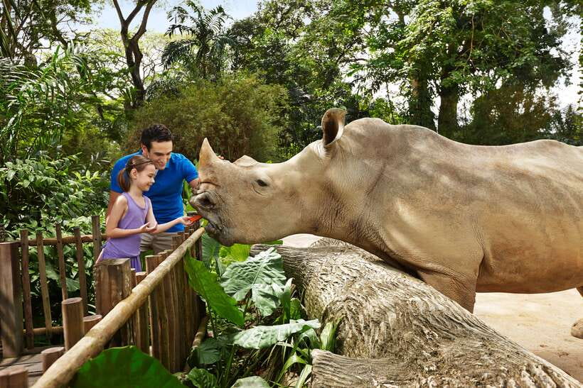Singapore Zoo: 1-Day Entrance E-Ticket - A zoo that feels like real habitat, not a display