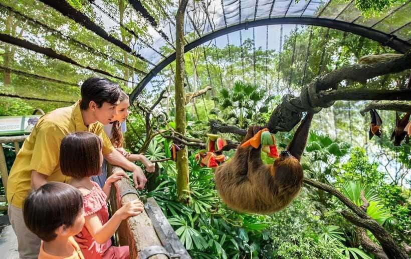 Singapore Zoo: 1-Day Entrance E-Ticket - Should you book this Singapore Zoo 1-day entry ticket?