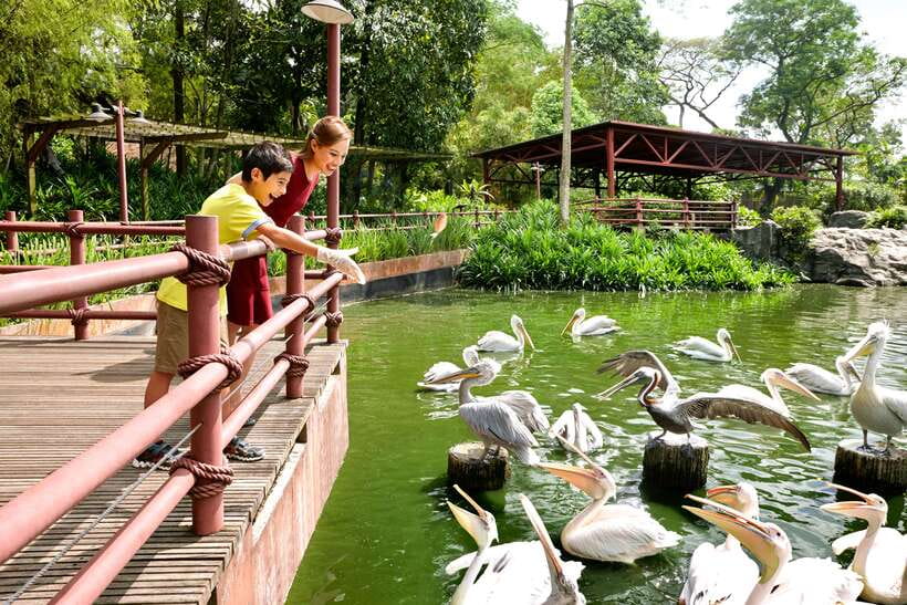 Singapore Zoo: 1-Day Entrance E-Ticket - FAQ