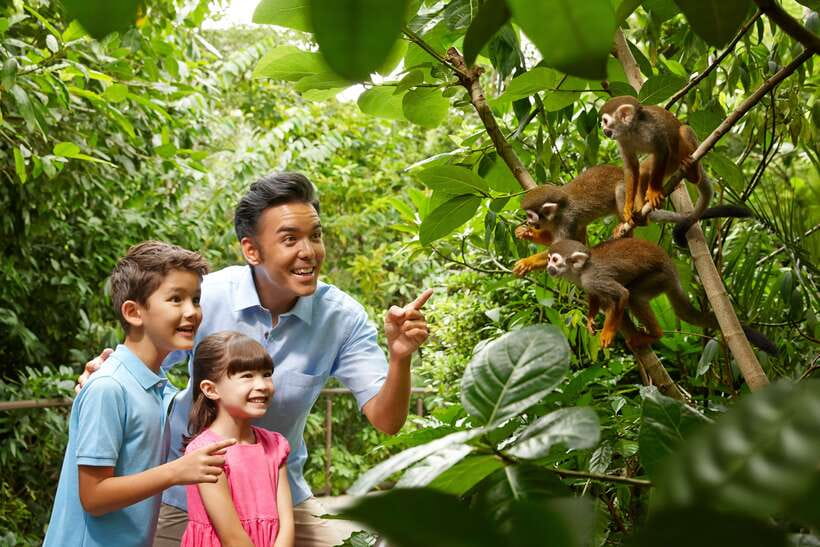 Singapore Zoo: 1-Day Entrance E-Ticket - Must-see exhibits: white tiger, elephants, and the animals you won’t forget