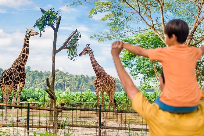 Singapore Zoo - Why Singapore Zoo Works So Well (Even If You’re Not a “Zoo Person”)