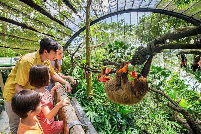 Singapore Zoo Entry Ticket - Key highlights to know before you go