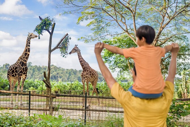 Singapore Zoo Entry Ticket - Entering Singapore Zoo: What You’ll Feel in the First 15 Minutes