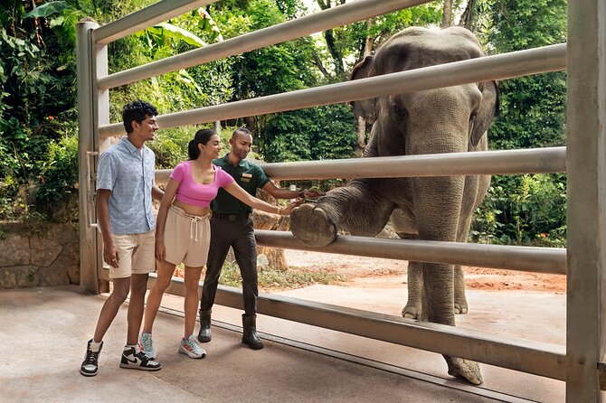 Singapore Zoo Entry Ticket - Jungle Breakfast With Wildlife and Animal Shows: How to Decide