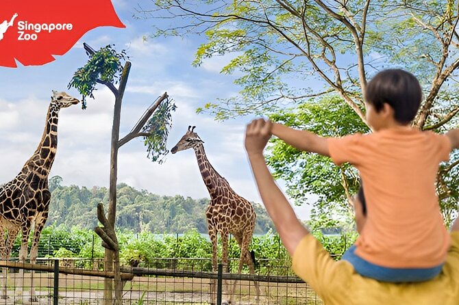 Singapore Zoo Entry Ticket - Timing Your Visit: The 2 to 4 Hour Sweet Spot