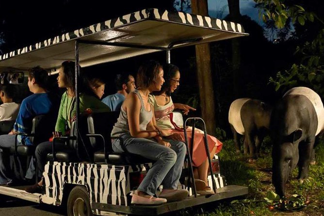 Singapore Zoo & Night Safari Day ( Tickets & Transfer ) - Walking trails that get you close: Fishing Cat, Leopard, East Lodge, Wallaby