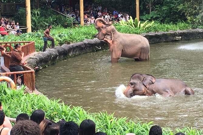 Singapore Zoo & Night Safari Day ( Tickets & Transfer ) - Value check: what you actually get for $141.64