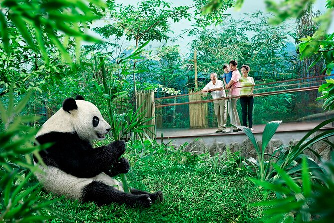Singapore Zoo & Night Safari Day ( Tickets & Transfer ) - Getting the most out of your time (without overthinking it)