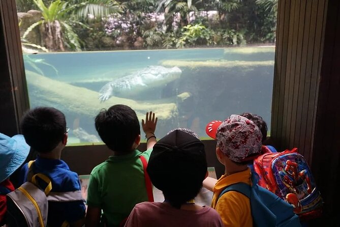Singapore Zoo with Tram Ride Experience for Tourist - The Tram Ride With Audio: The Real Secret Sauce
