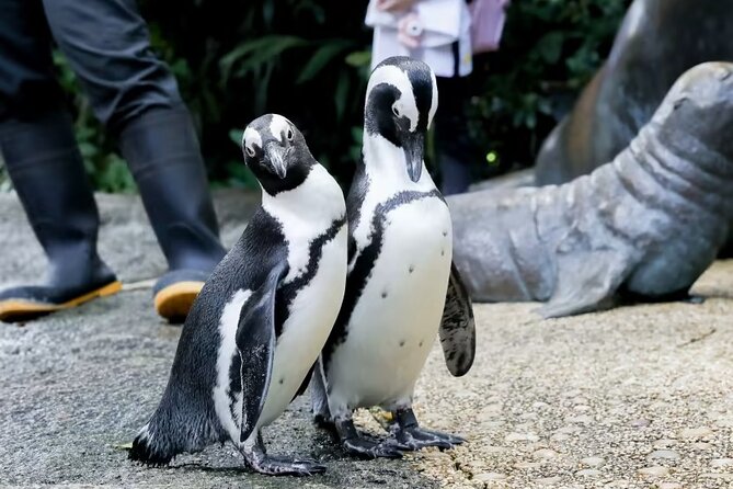 Singapore Zoo with Tram Ride Experience for Tourist - Stop 1: Singapore Zoo, 2,800+ Animals Across 300 Species