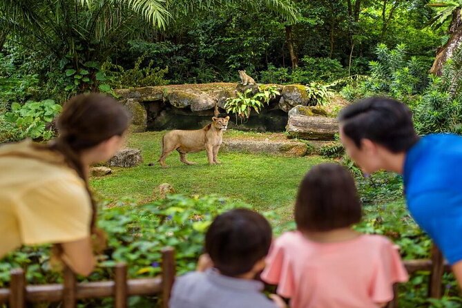 Singapore Zoo with Tram Ride Experience for Tourist - What’s Included vs. What You’ll Handle Yourself