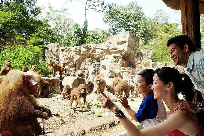 Singapore Zoo with Tram Ride Experience for Tourist - Price and Value: What $57 Buys You for 4–6 Hours