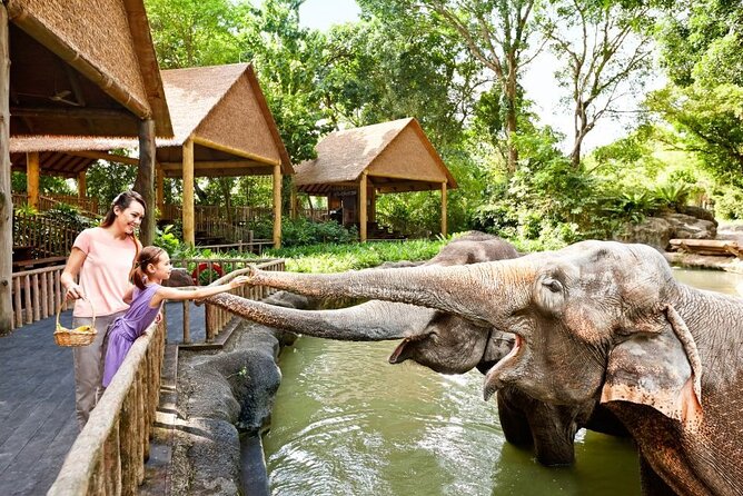 Singapore Zoo - Ticket Value: What You’re Paying For Around $45.91