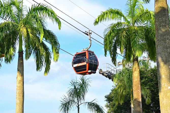 Skip the Line: Singapore Cable Car Sky Pass (Round-Trip) - What the Singapore Cable Car Sky Pass really gets you