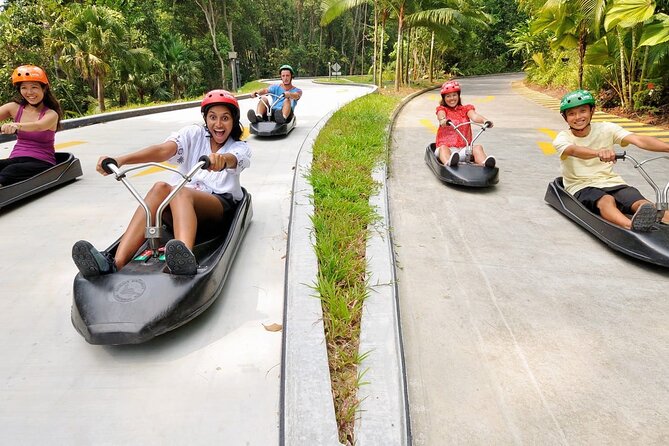 Skyline Luge and Skyride Admission Ticket sentosa Singapore - Luge tracks explained: choose your speed and your comfort level