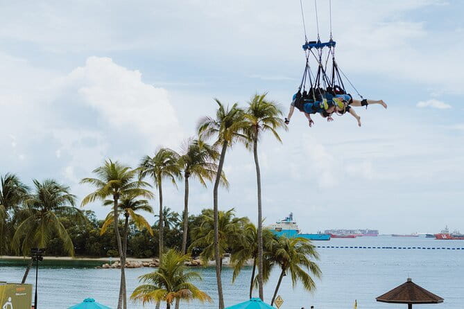 Skypark Sentosa Giant Swing Admission Ticket - Timing and what happens during the 1-hour visit