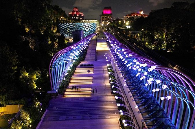 (Small Group) Starry Night Singapore Sentosa Tour - Price and what you’re really paying for