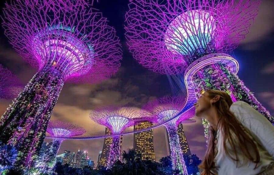 Spectra & Garden Rhapsody Shows with Singapore River Cruise - A night in Singapore built around light shows