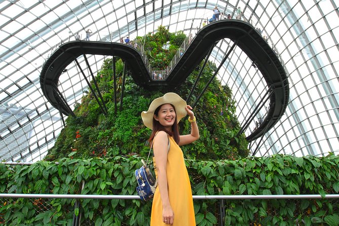 Vacation Photographer in Singapore - Supertree Grove: finishing strong with iconic compositions